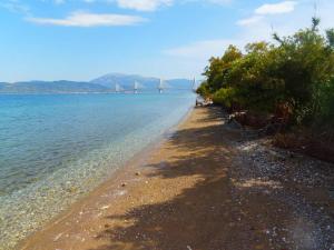 Unique house by the sea Achaia Greece