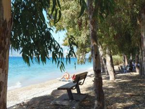 Unique house by the sea Achaia Greece