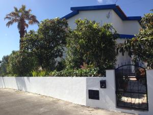 Wavin Trees Ericeira