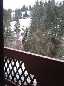 Котеджі "У Яни"