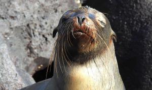 Cormorant Beach House