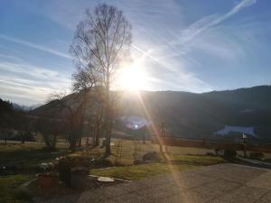 Sinsamreith, Familie Ensmann