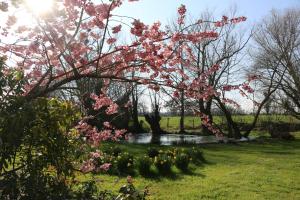 B&B / Chambres d'hotes Le bourgis : photos des chambres