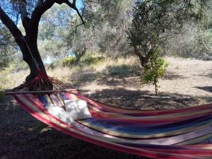 Sunshinehouse Banana beach Skiathos Greece