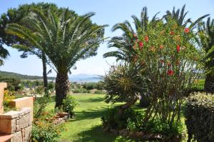 Residenze Coda Cavallo img81
