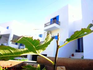 Larinaki's Studios No3 Amorgos Greece