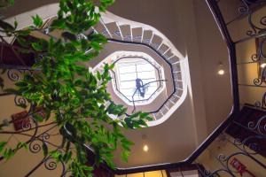 Hotel Encantada Casa Boutique Spa