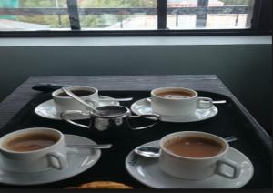 Hotel Green Leaf Srinagar