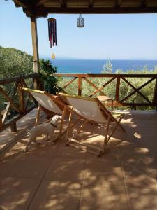 Sunshinehouse Banana beach Skiathos Greece