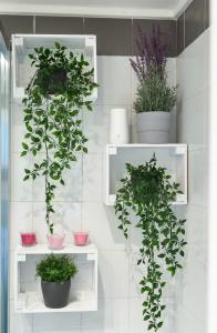 Cozy studio Campo de Fiori