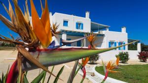 Villalula Suites Paros Greece