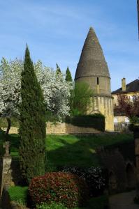 Appartements La Pivoine : photos des chambres
