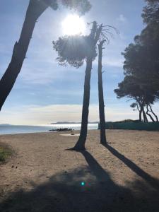 residence port hyeres les palmiers