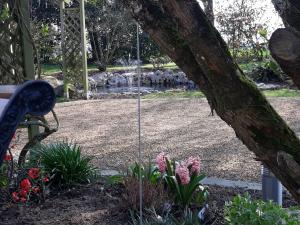 B&B / Chambres d'hotes Clos Martin : photos des chambres
