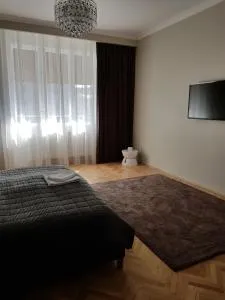 City Center Dream Apartment - 蒂米什瓦拉