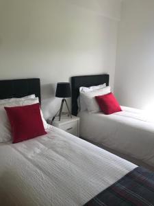 CASA SIMBA ,the fun begins