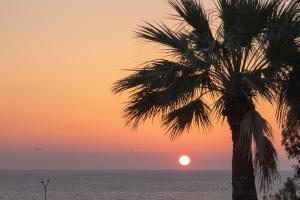 105 Kings Palace - Fabulous 2 Bed, 2 bath, Large Patio with Garden - Sea Views