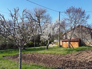 Maisons de vacances Aux delices de Saleix : photos des chambres