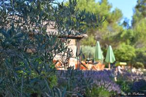 Le Jas de Joucas Hôtel-Restaurant