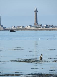 Appartements Maison Rouge : photos des chambres