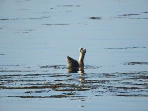 Appartements Maison Rouge : photos des chambres