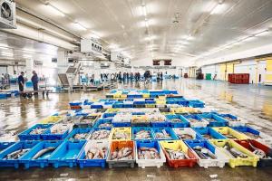 Appartements Maison Rouge : Appartement - Vue sur Mer