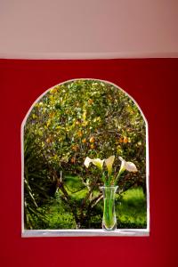 Red Villa Lefkada Greece