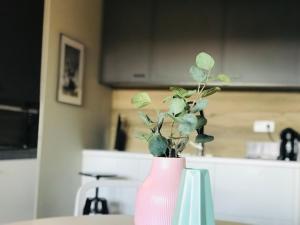 Martikal Apartments 1