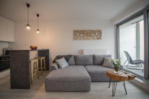 Apartment with Balcony room in ApartView Family