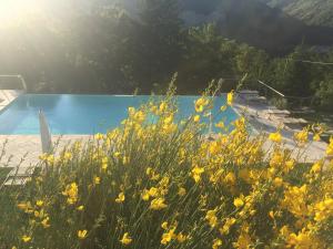 Agriturismo Corte Dei Mori