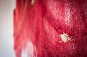 Case Vacanza Torre Canne