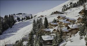 Chalet LYS Apartment 14 Rue Sigma