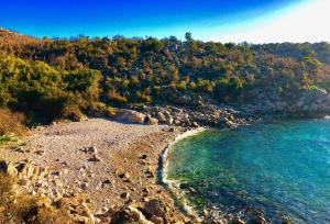 Namaste Hostel & Camping