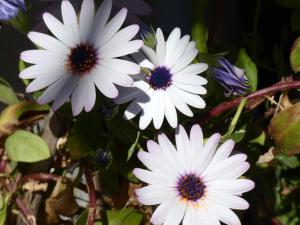 Hostal Port Fornells