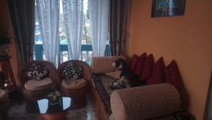 Sanjeema Tea Estate Homestay