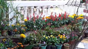 Madhumita Homestay