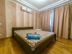 Kvartirkoff na Obolonskiy prospekt 37 - 维什戈罗德