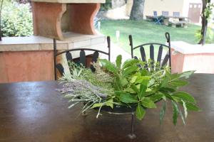 Villas Lou Cigalon : photos des chambres