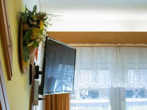 Apartments and Rooms Ražen