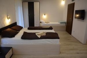 Atomski cvet Atomska banja Gornja Trepča