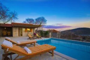 Villa Krcina - Apatija