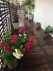 My Living Place Samui