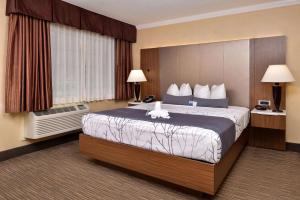 King Room - Non-Smoking room in Best Western Hollywood Plaza Inn - Hollywood Walk of Fame Hotel - LA