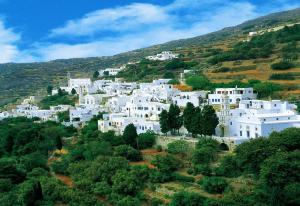 House with a garden in Kardiani village, Tinos Tinos Greece