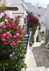 House with a garden in Kardiani village, Tinos Tinos Greece