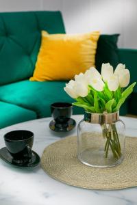 Stara Praga Vistula Apartment by BookingHost