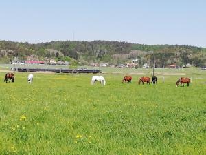 Stuga på Hammarbergs Gård