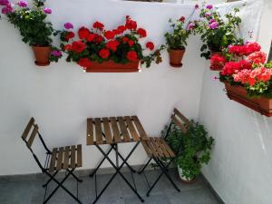 Apartamento entero "El Casco Antiguo" VT-46811-V