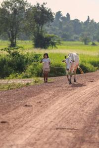 Chansor Homestay 17 By Siem Reap Homesteading
