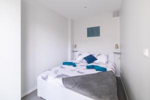 Appartements ★ LE MAJORELLE ★ ST GEORGES HYPERCENTRE ★ NETFLIX : photos des chambres
